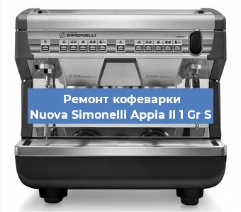 Замена прокладок на кофемашине Nuova Simonelli Appia II 1 Gr S в Воронеже